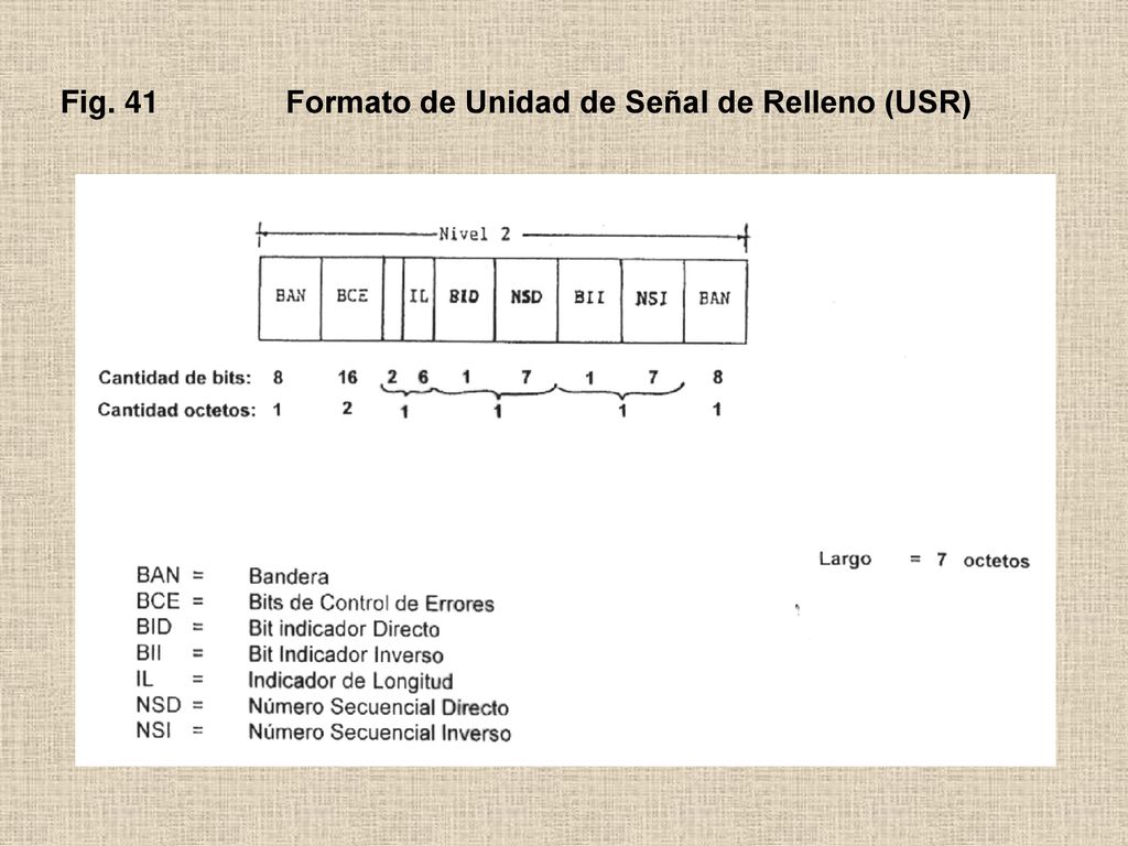 Fig. 41 Formato de Unidad de Señal de Relleno (USR)