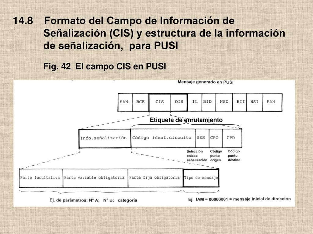 14.8 Formato del Campo de Información de Señalización (CIS) y estructura de la información de señalización, para PUSI