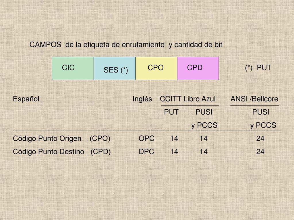 CAMPOS de la etiqueta de enrutamiento y cantidad de bit