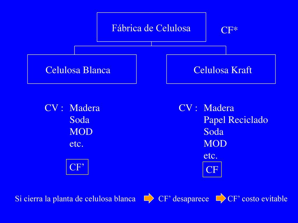 Fábrica de Celulosa CF* Celulosa Blanca Celulosa Kraft CV : Madera