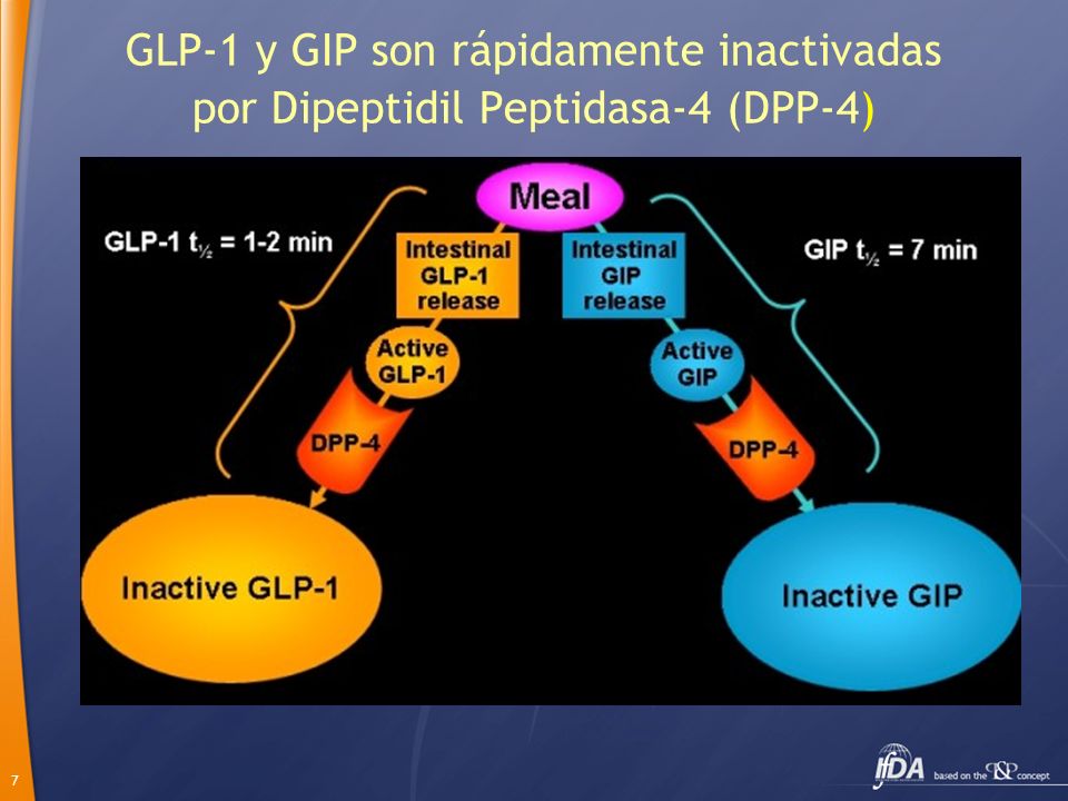 GLP-1 y GIP son rápidamente inactivadas por Dipeptidil Peptidasa-4 (DPP-4)