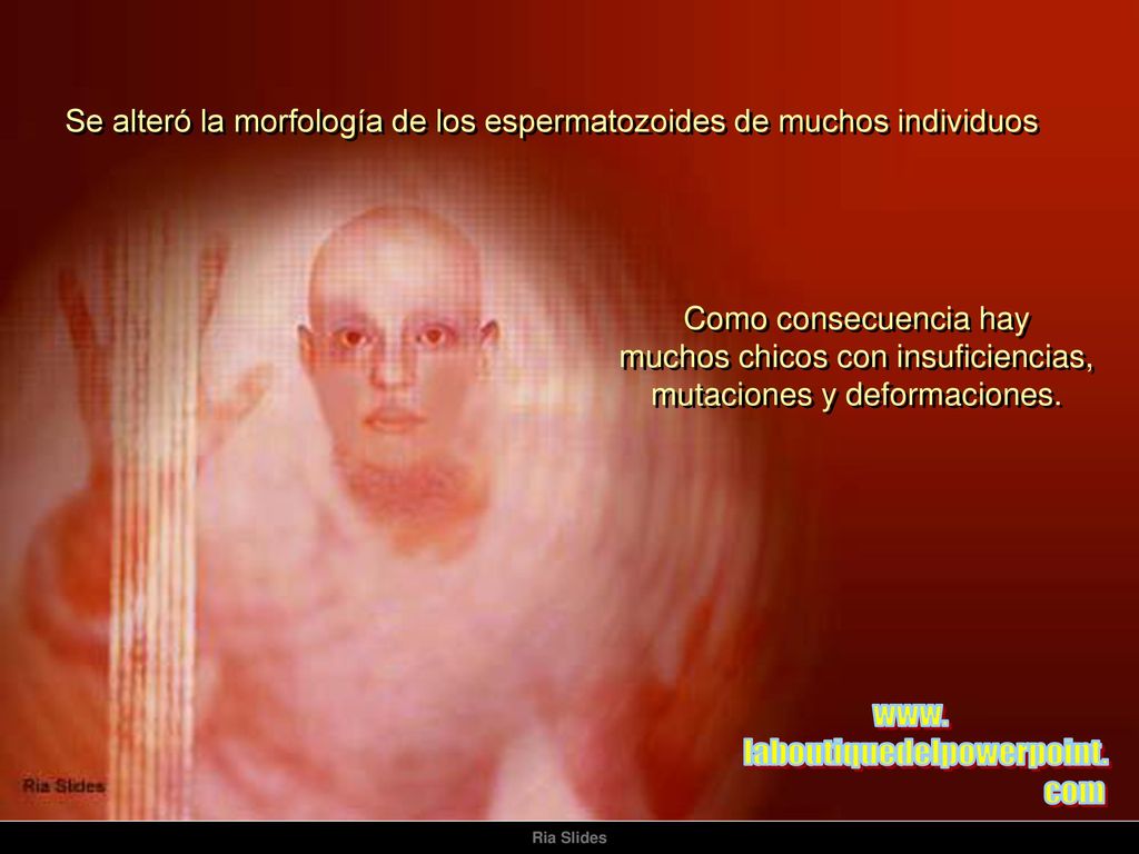 Se alteró la morfología de los espermatozoides de muchos individuos