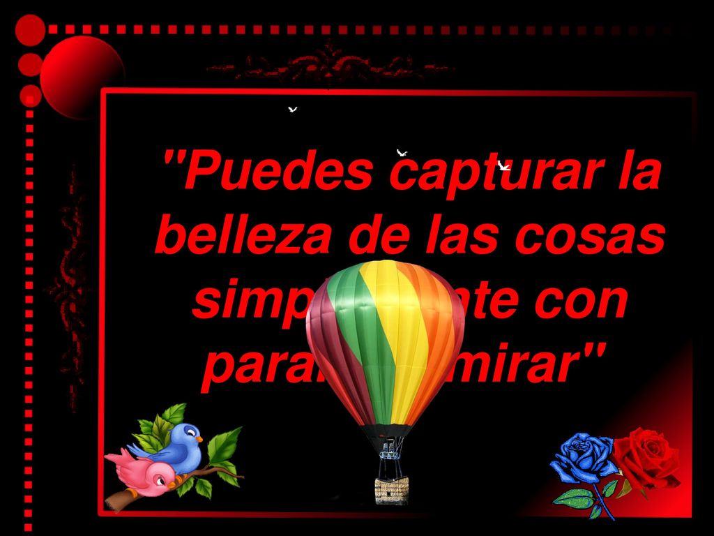 Puedes capturar la belleza de las cosas simplemente con pararte y mirar
