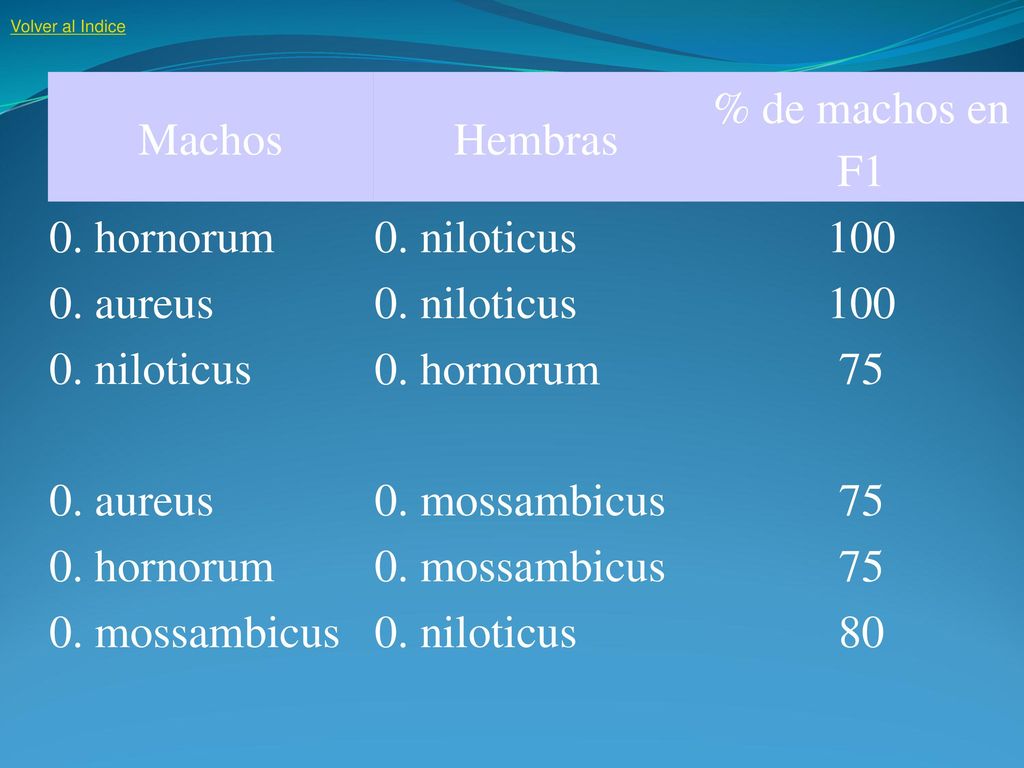Machos Hembras % de machos en F1 0. hornorum 0. niloticus 100