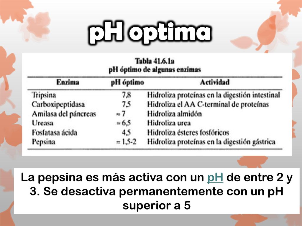 pH optima La pepsina es más activa con un pH de entre 2 y 3.