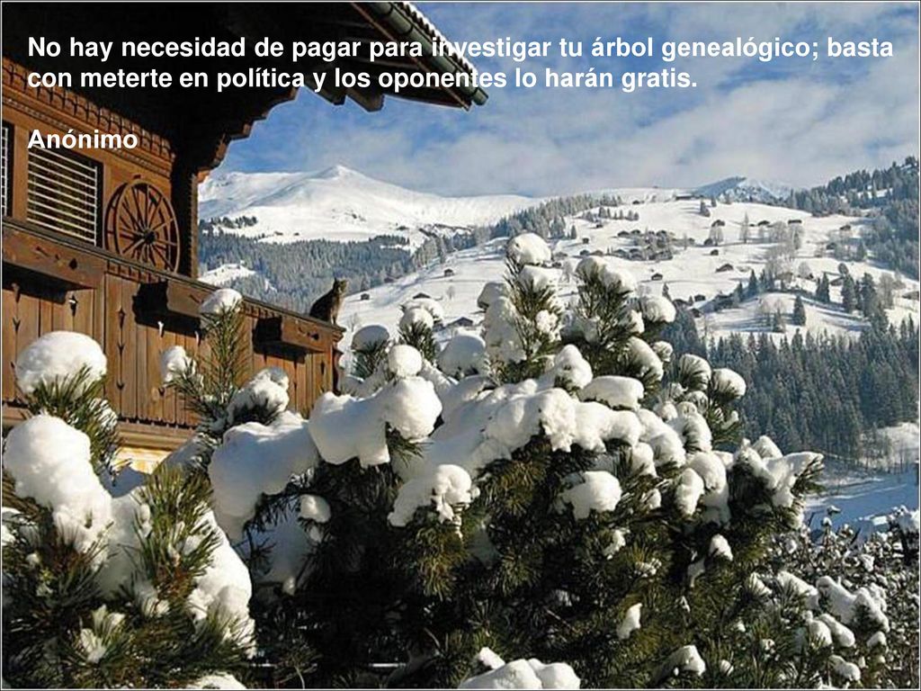 No hay necesidad de pagar para investigar tu árbol genealógico; basta con meterte en política y los oponentes lo harán gratis.