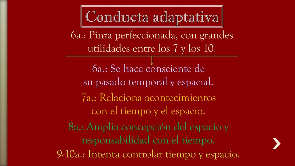 Conducta adaptativa 6a.: Pinza perfeccionada, con grandes utilidades entre los 7 y los 10. 6a.: Se hace consciente de.
