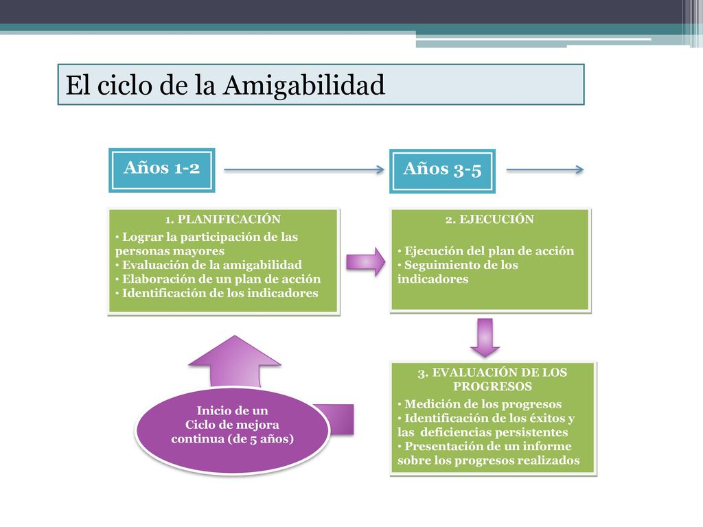 3. EVALUACIÓN DE LOS PROGRESOS Ciclo de mejora continua (de 5 años)