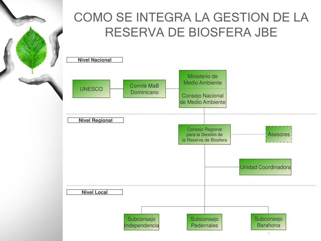 COMO SE INTEGRA LA GESTION DE LA RESERVA DE BIOSFERA JBE