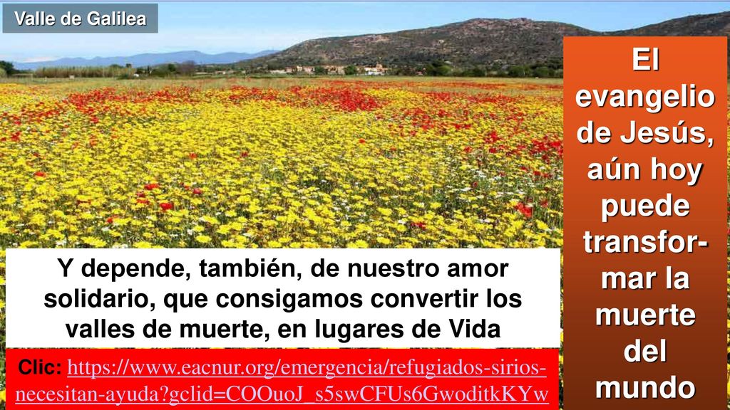 El evangelio de Jesús, aún hoy puede transfor-mar la muerte del mundo