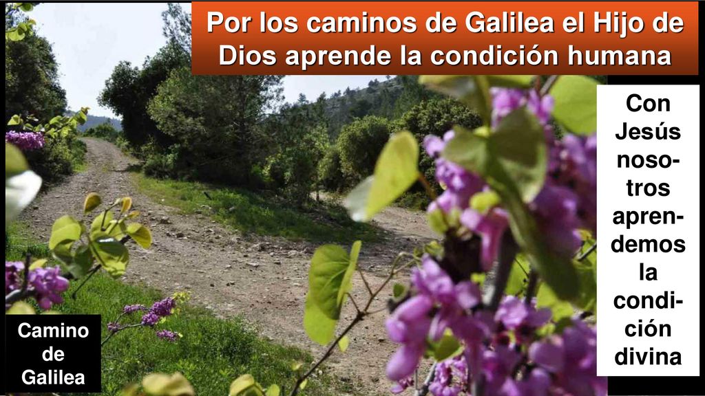 Por los caminos de Galilea el Hijo de Dios aprende la condición humana