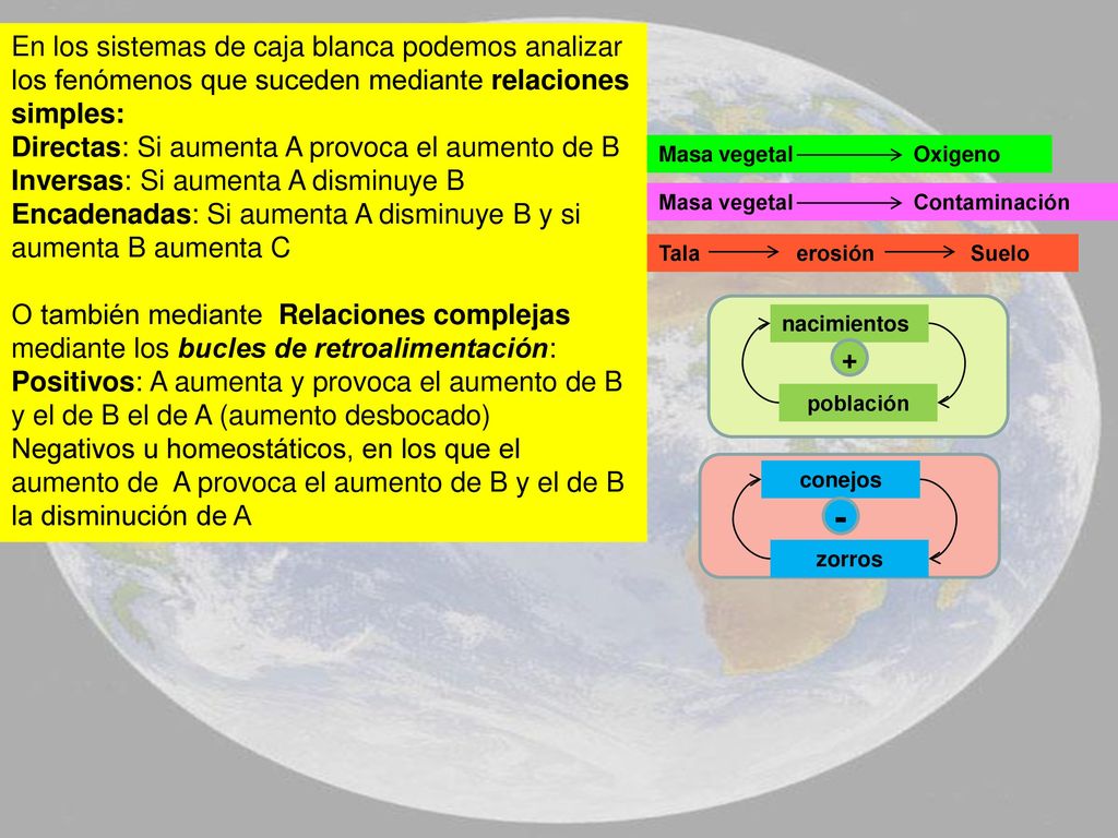 En los sistemas de caja blanca podemos analizar los fenómenos que suceden mediante relaciones simples: