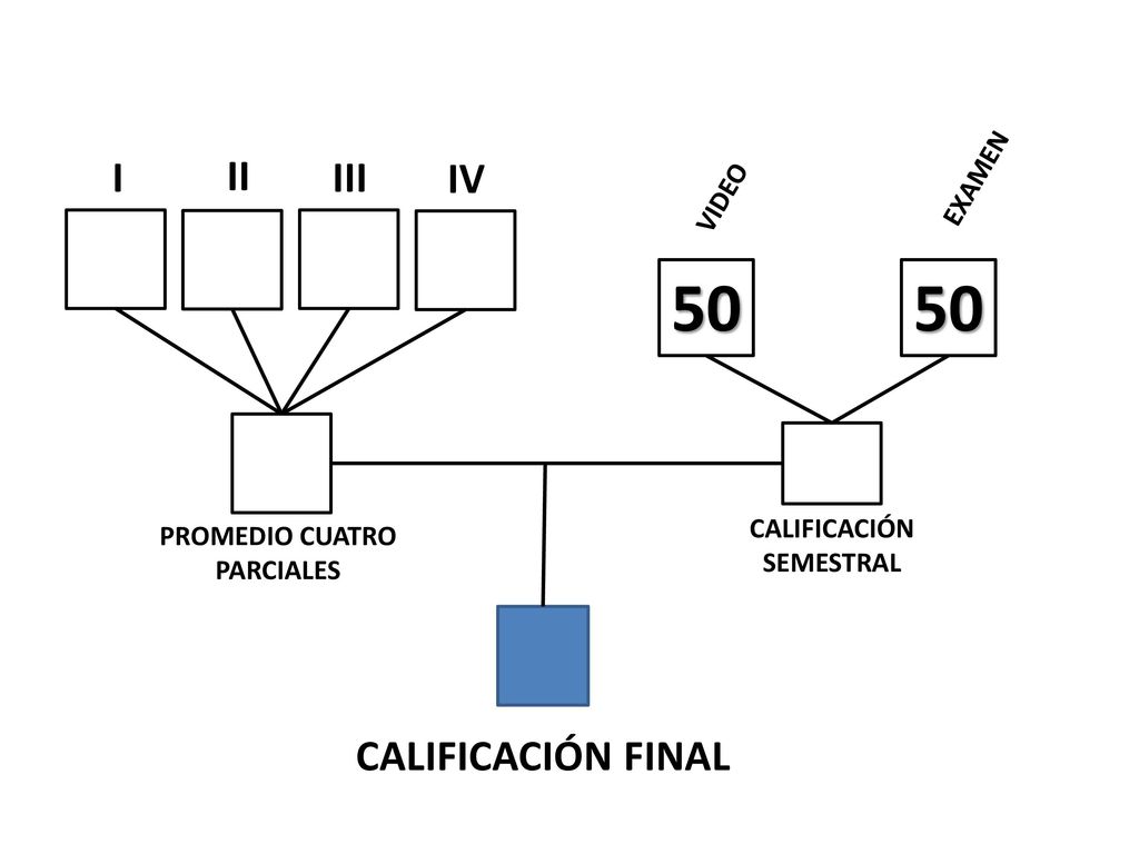 50 50 I II III IV CALIFICACIÓN FINAL EXAMEN VIDEO CALIFICACIÓN