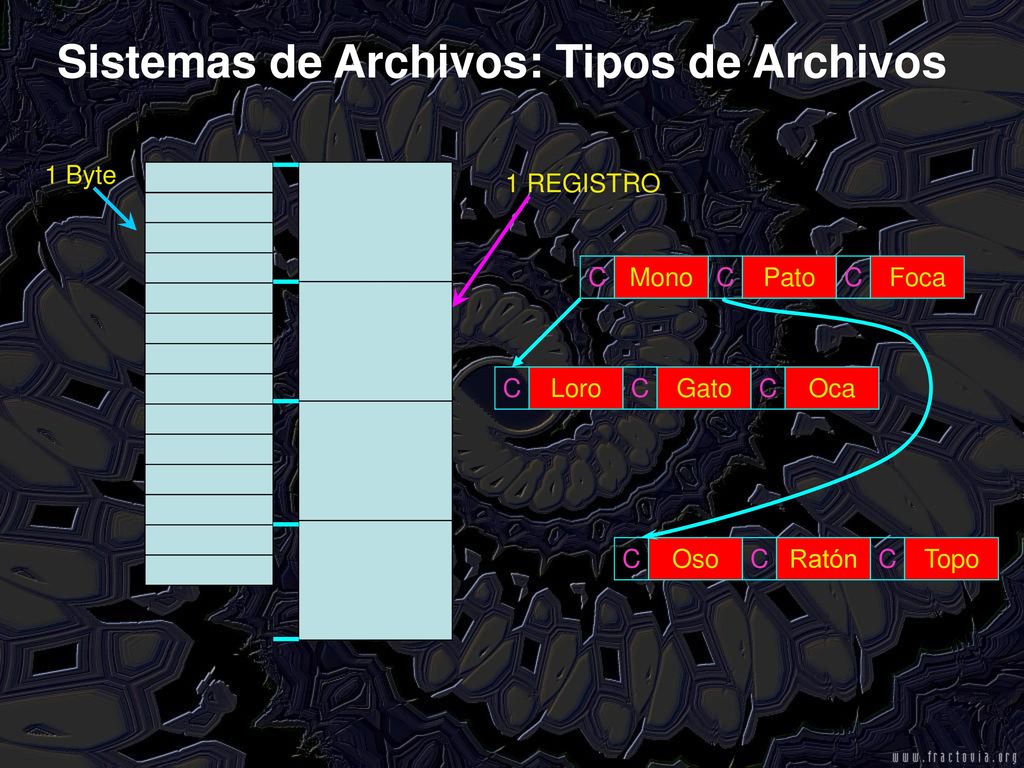 Sistemas de Archivos: Tipos de Archivos