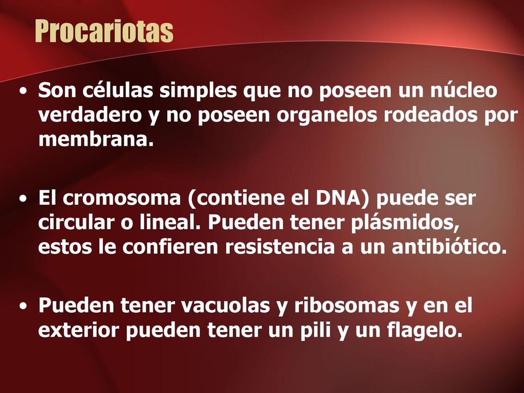 Procariotas Son células simples que no poseen un núcleo verdadero y no poseen organelos rodeados por membrana.
