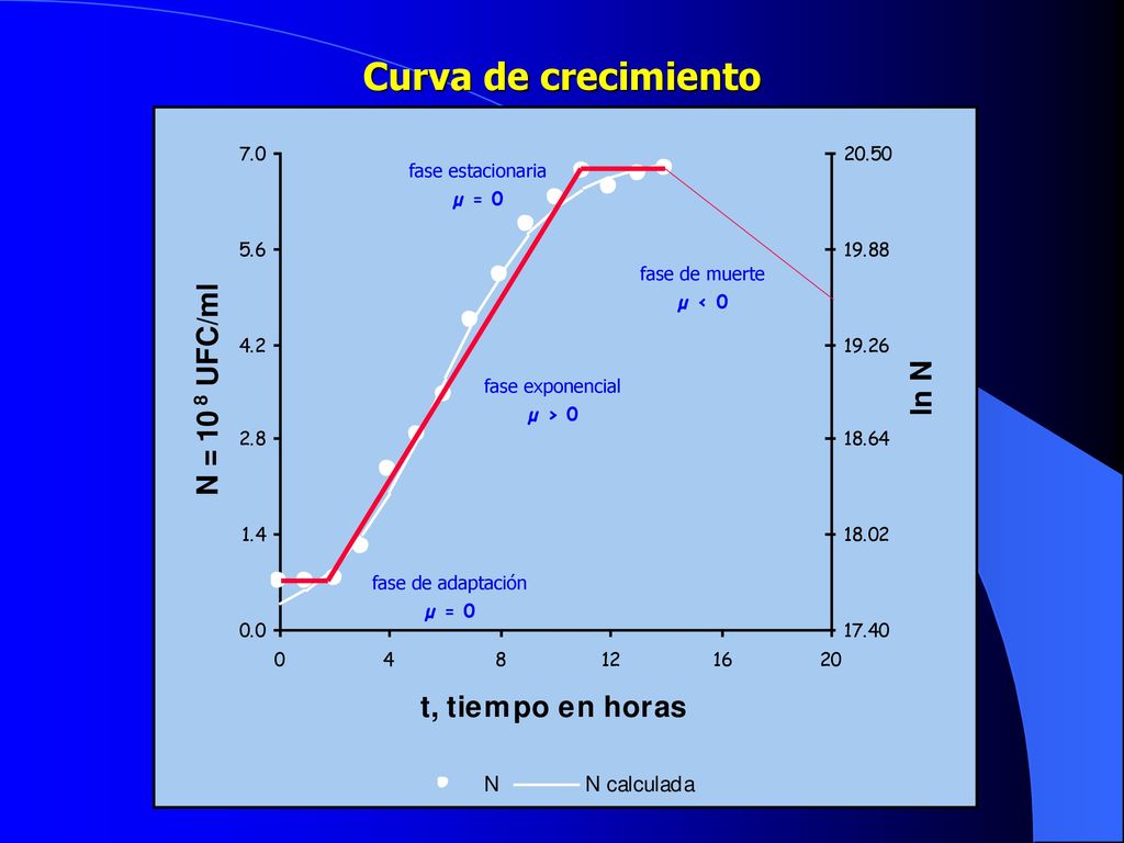 Curva de crecimiento fase estacionaria µ = 0 fase de muerte µ < 0