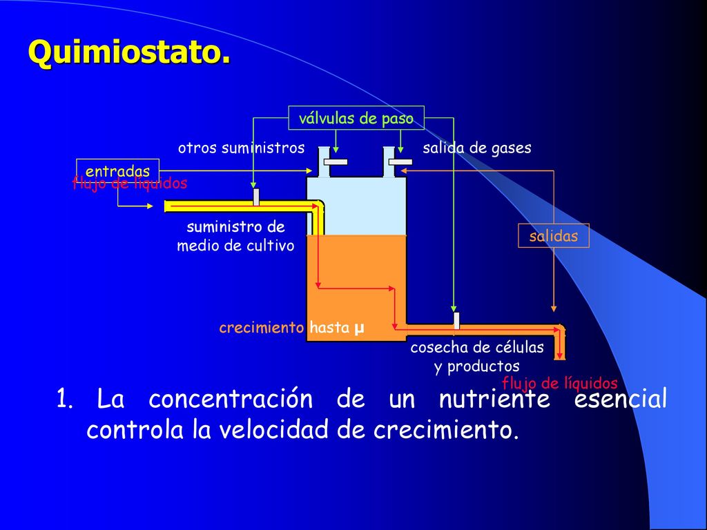 Quimiostato. válvulas de paso. otros suministros. salida de gases. entradas. flujo de líquidos.