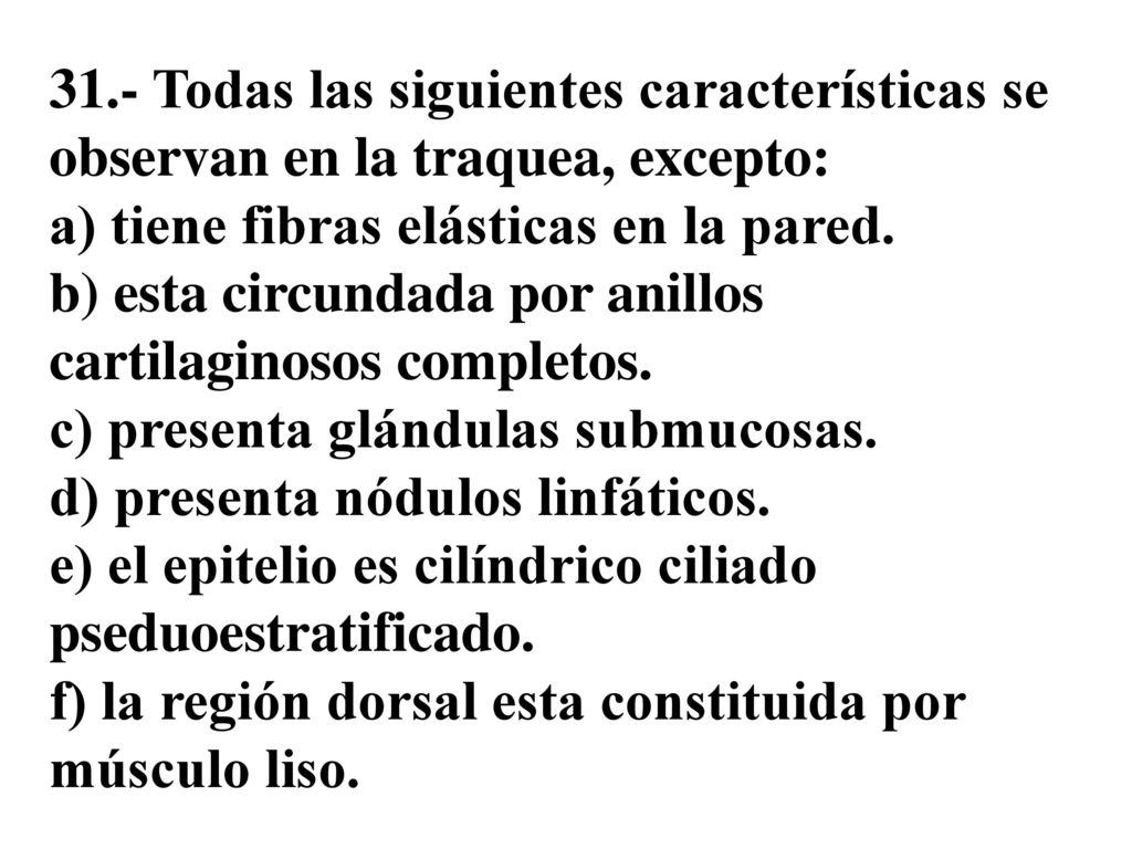 31.- Todas las siguientes características se observan en la traquea, excepto: a) tiene fibras elásticas en la pared.
