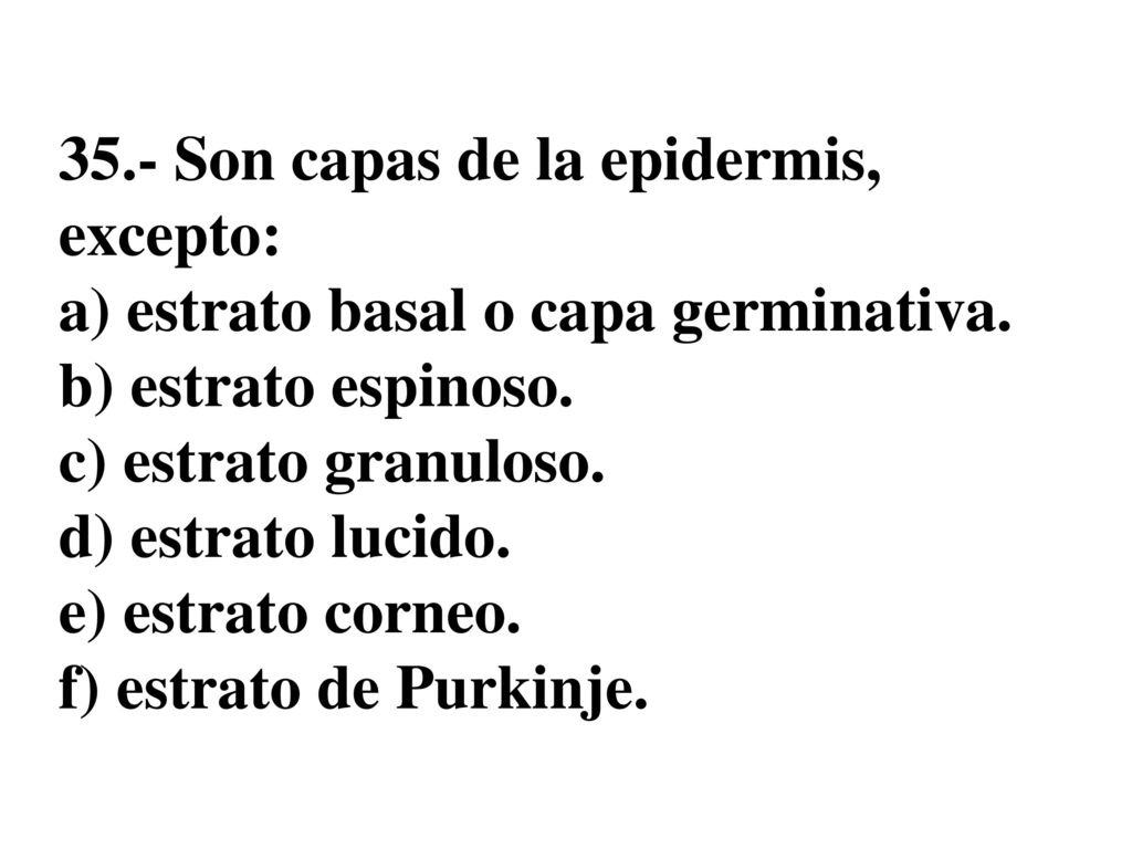 35.- Son capas de la epidermis, excepto: a) estrato basal o capa germinativa.