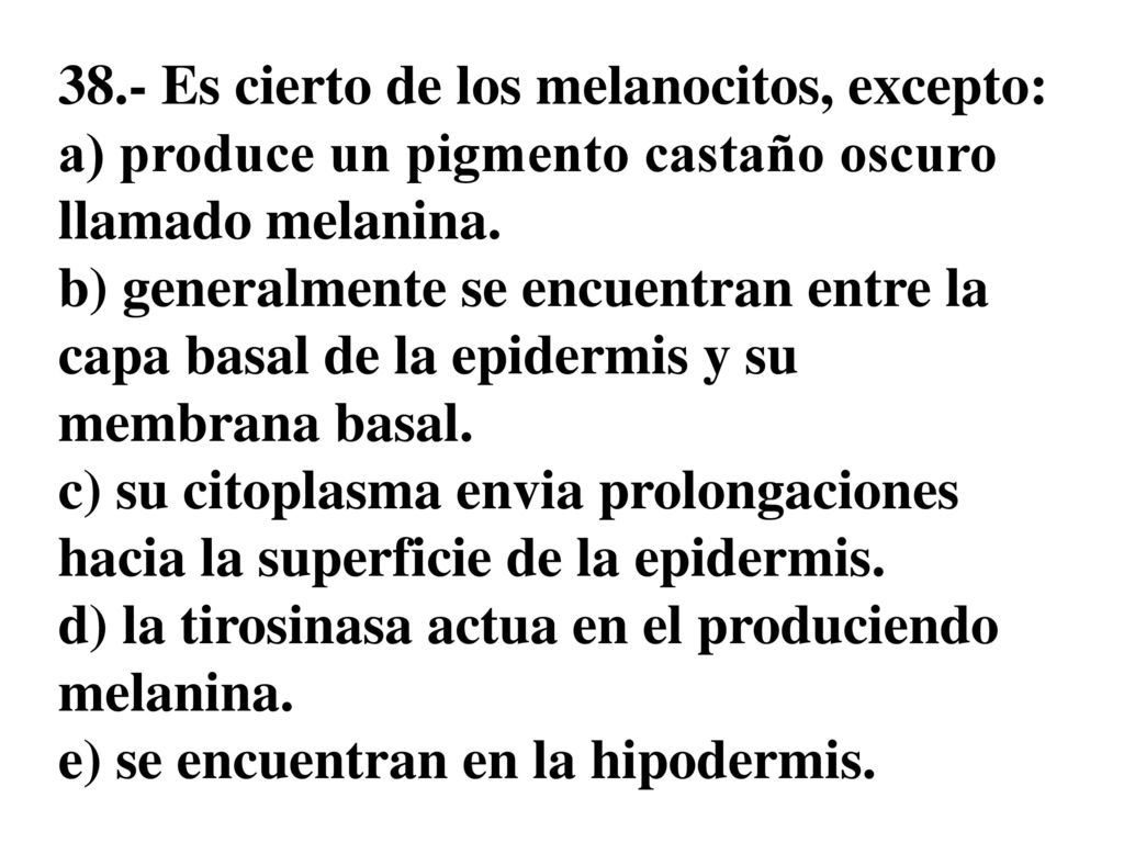 38.- Es cierto de los melanocitos, excepto: a) produce un pigmento castaño oscuro llamado melanina.