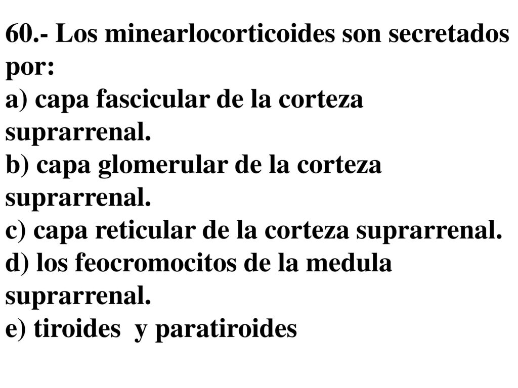 60.- Los minearlocorticoides son secretados por: a) capa fascicular de la corteza suprarrenal.