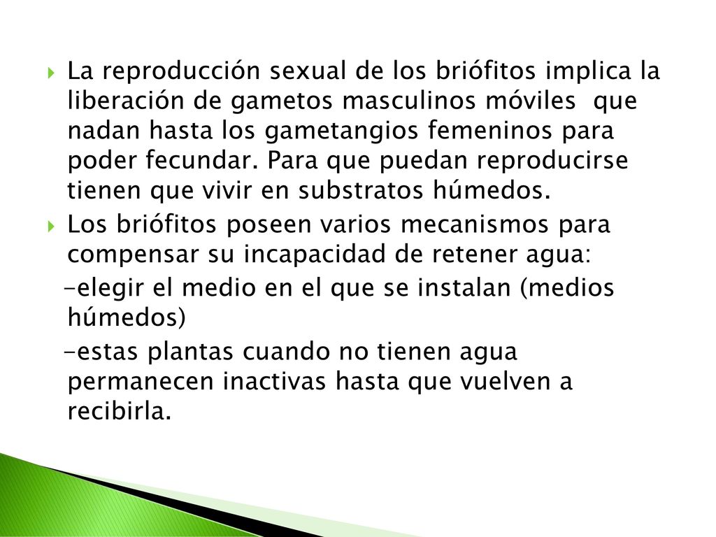 La reproducción sexual de los briófitos implica la liberación de gametos masculinos móviles que nadan hasta los gametangios femeninos para poder fecundar. Para que puedan reproducirse tienen que vivir en substratos húmedos.