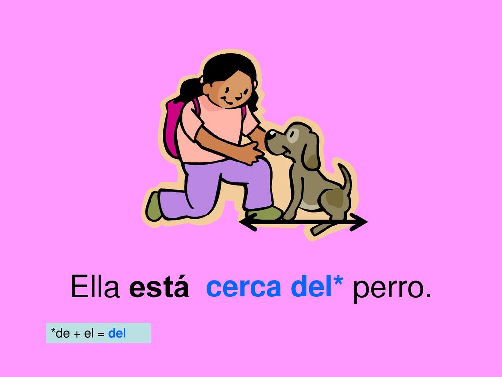 Ella está perro. cerca del* *de + el = del