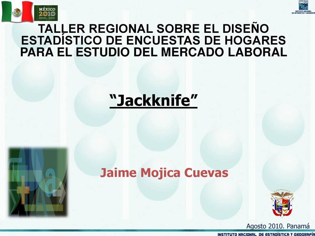 TALLER REGIONAL SOBRE EL DISEÑO ESTADÍSTICO DE ENCUESTAS DE HOGARES PARA EL ESTUDIO DEL MERCADO LABORAL