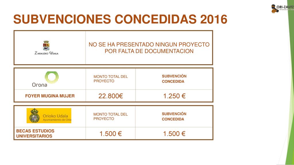 NO SE HA PRESENTADO NINGUN PROYECTO POR FALTA DE DOCUMENTACION