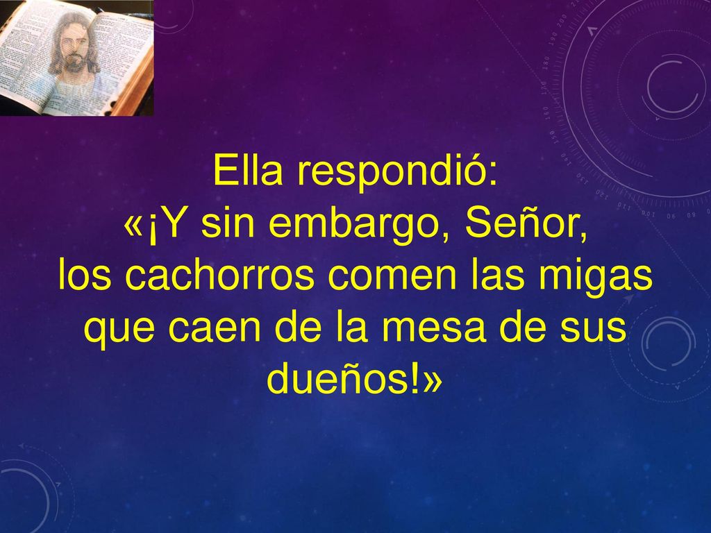los cachorros comen las migas que caen de la mesa de sus dueños!»