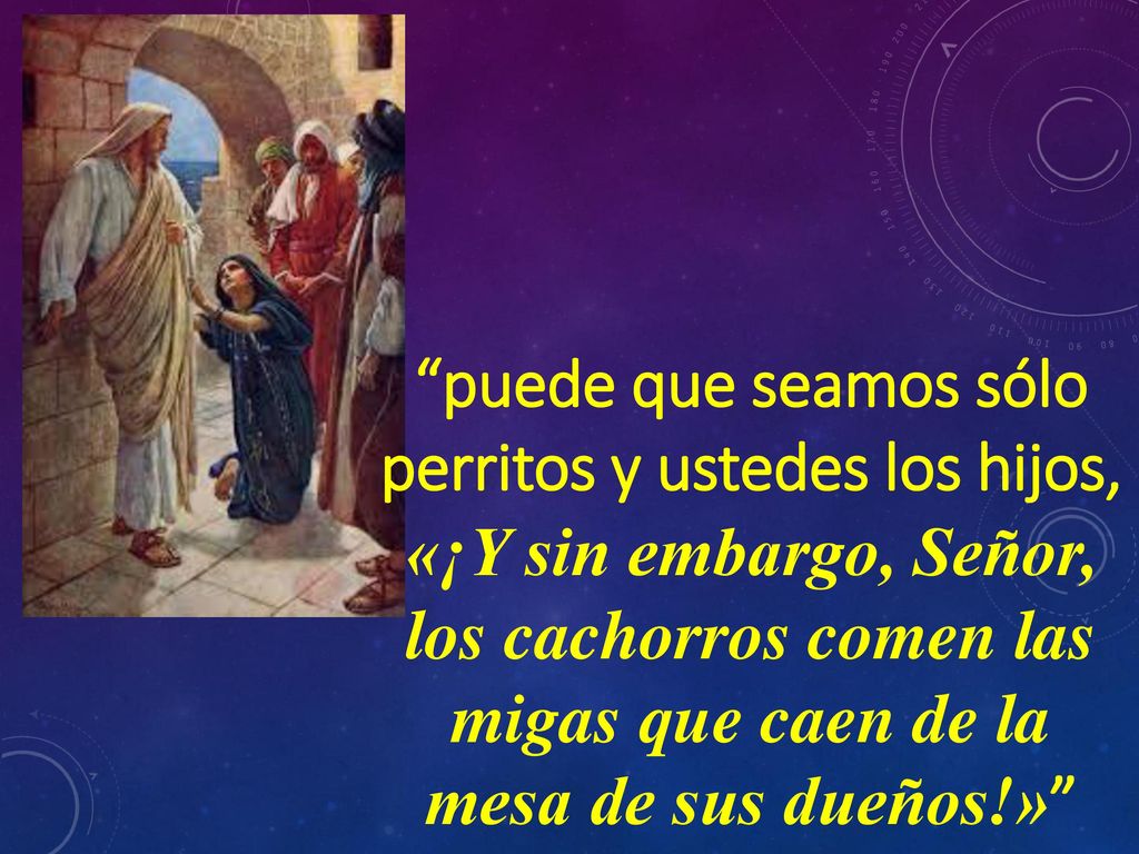 los cachorros comen las migas que caen de la mesa de sus dueños!»