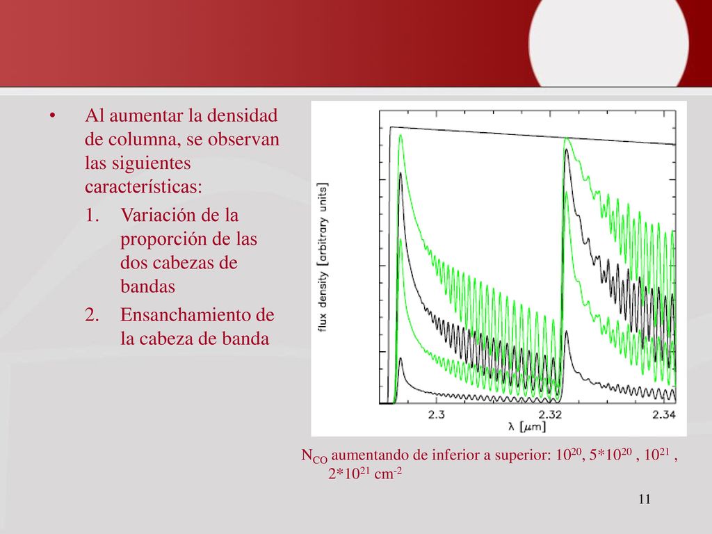 Variación de la proporción de las dos cabezas de bandas