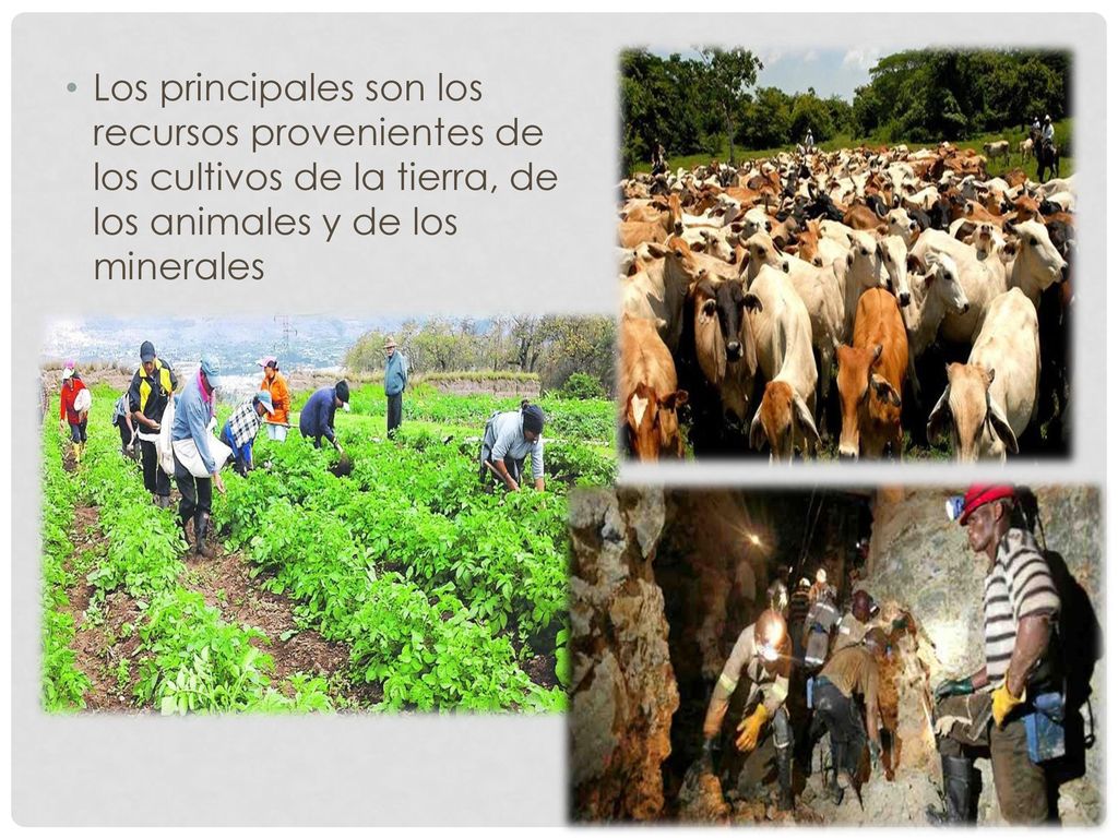 Los principales son los recursos provenientes de los cultivos de la tierra, de los animales y de los minerales