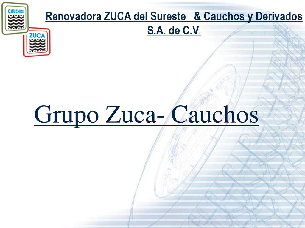 Renovadora ZUCA del Sureste & Cauchos y Derivados S.A. de C.V.