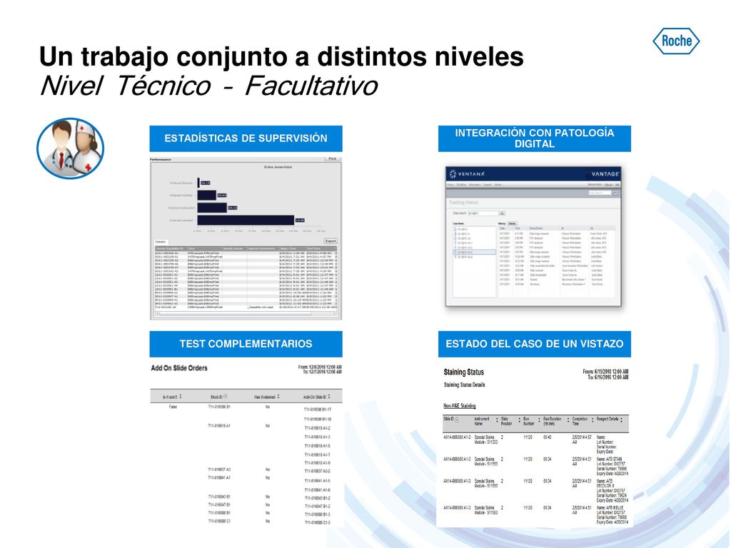 Un trabajo conjunto a distintos niveles Nivel Técnico – Facultativo