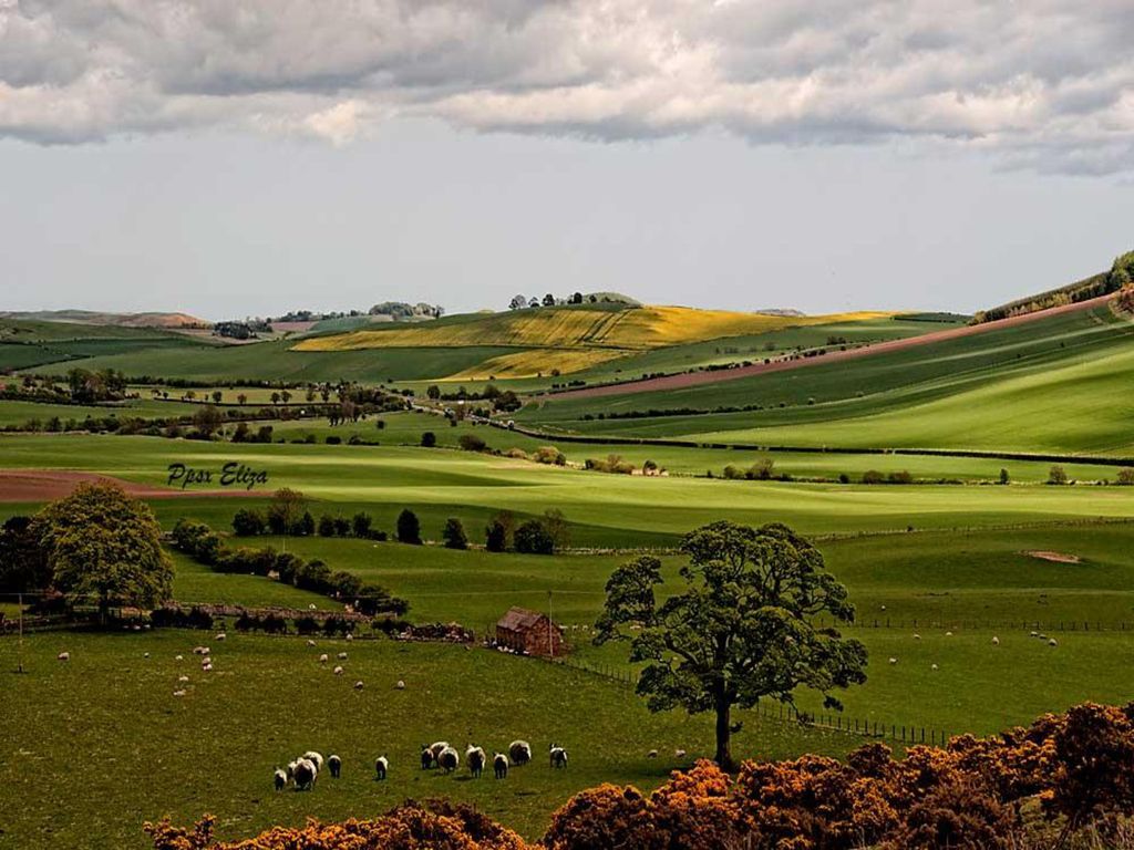 Apenas se entra a las Highlands el paisaje va cambiando a medida vamos subiendo y es un placer para los ojos ver los diferentes colores de verdes … pusimos rumbo al pintoresco pueblo de Pitlochry donde se halla la destilería de whisky Blair Athol.