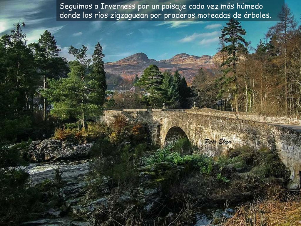 Seguimos a Inverness por un paisaje cada vez más húmedo donde los ríos zigzaguean por praderas moteadas de árboles.