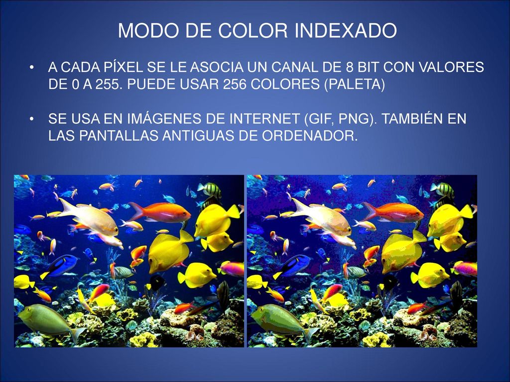 MODO DE COLOR INDEXADO A CADA PÍXEL SE LE ASOCIA UN CANAL DE 8 BIT CON VALORES DE 0 A 255. PUEDE USAR 256 COLORES (PALETA)