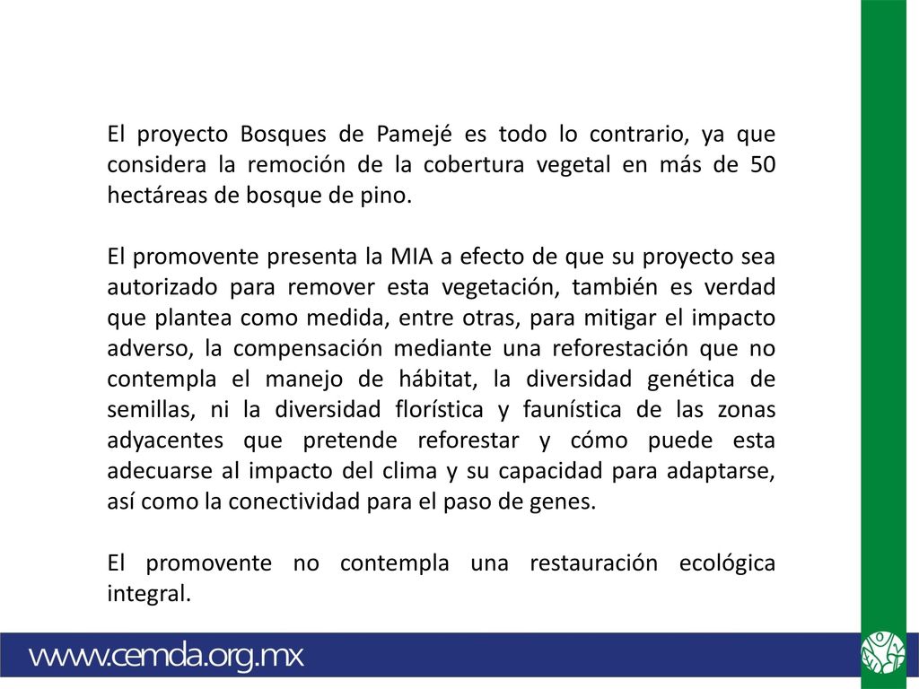 El proyecto Bosques de Pamejé es todo lo contrario, ya que considera la remoción de la cobertura vegetal en más de 50 hectáreas de bosque de pino.