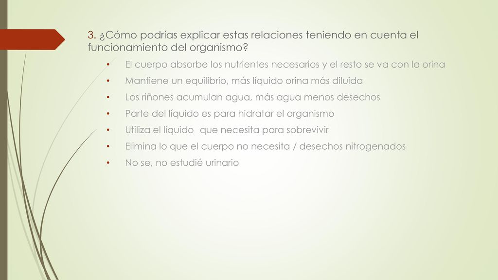 3. ¿Cómo podrías explicar estas relaciones teniendo en cuenta el funcionamiento del organismo