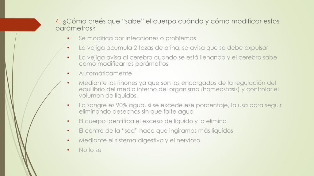 4. ¿Cómo creés que sabe el cuerpo cuándo y cómo modificar estos parámetros