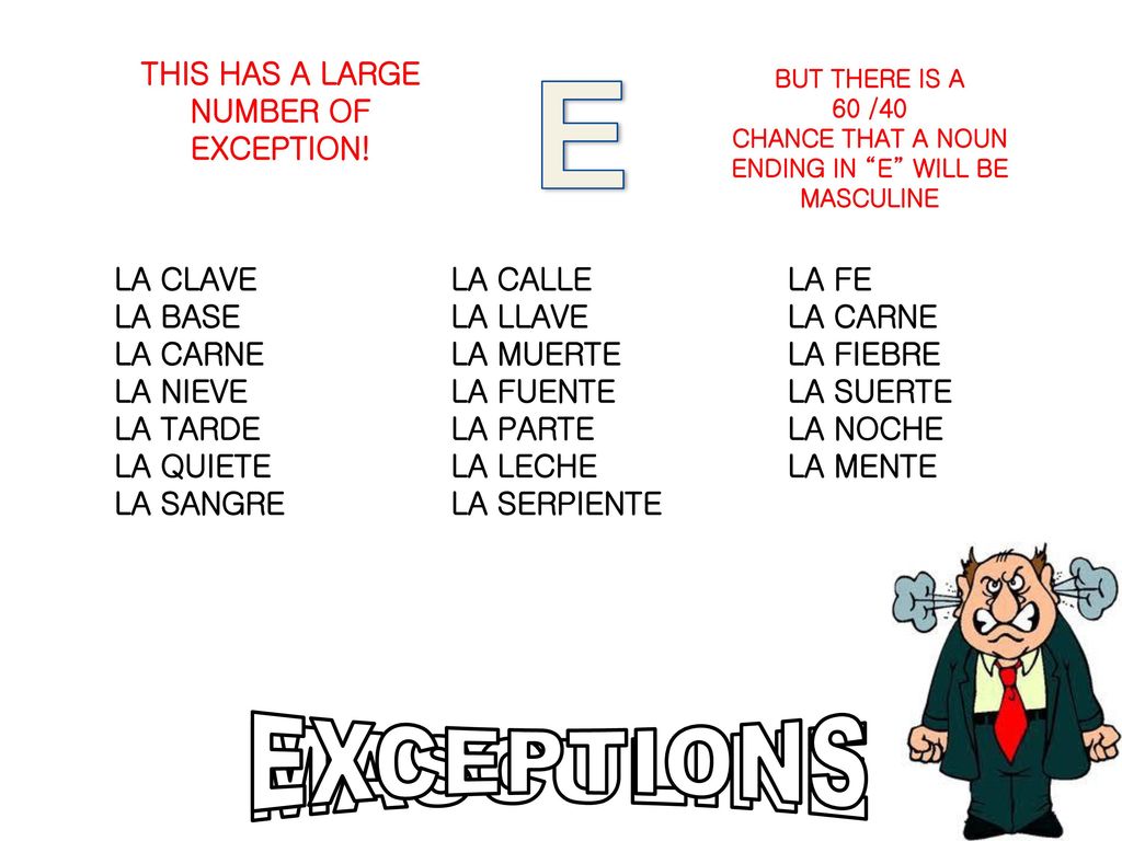 E EXCEPTIONS MASCULINE THIS HAS A LARGE NUMBER OF EXCEPTION!