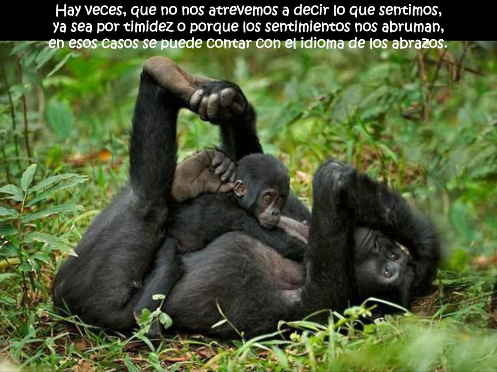 Hay veces, que no nos atrevemos a decir lo que sentimos,