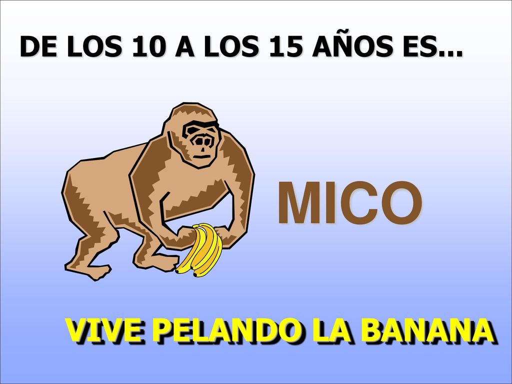 DE LOS 10 A LOS 15 AÑOS ES... MICO VIVE PELANDO LA BANANA