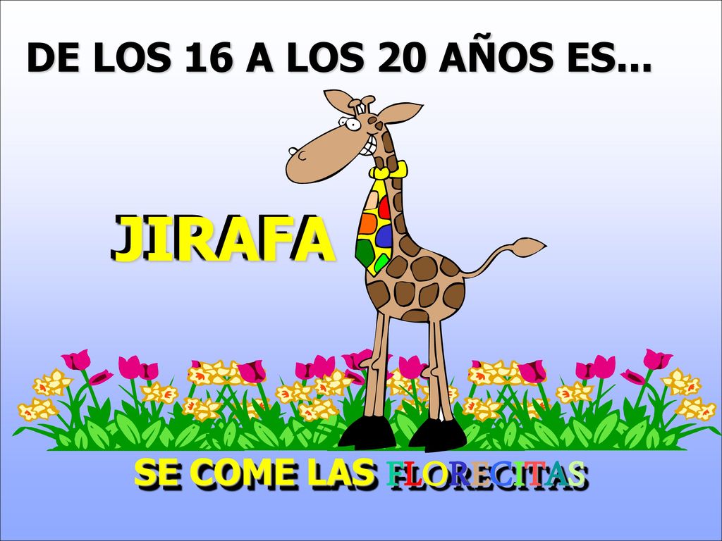 DE LOS 16 A LOS 20 AÑOS ES... JIRAFA SE COME LAS FLORECITAS