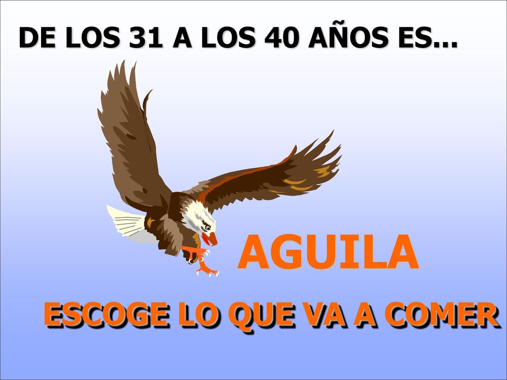 DE LOS 31 A LOS 40 AÑOS ES... AGUILA ESCOGE LO QUE VA A COMER