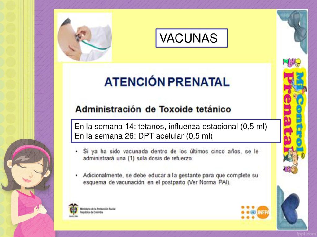 VACUNAS En la semana 14: tetanos, influenza estacional (0,5 ml)