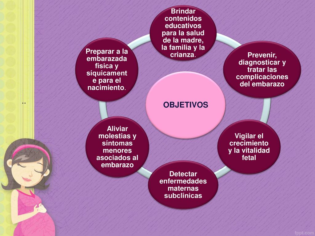 OBJETIVOS Brindar contenidos educativos para la salud de la madre, la familia y la crianza.
