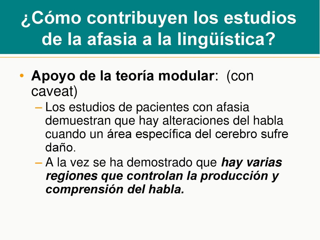 ¿Cómo contribuyen los estudios de la afasia a la lingüística