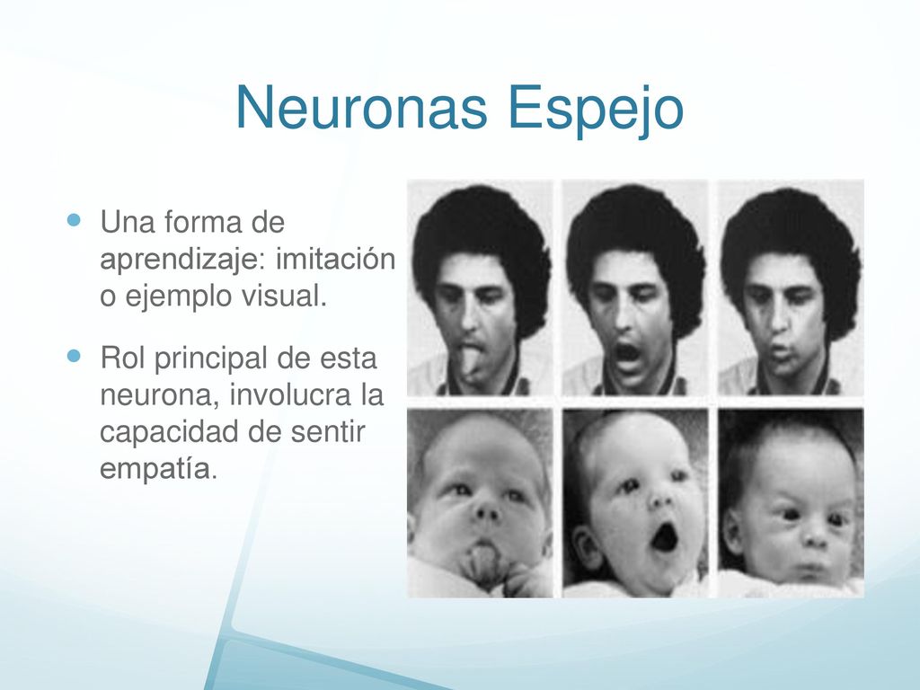 Neuronas Espejo Una forma de aprendizaje: imitación o ejemplo visual.